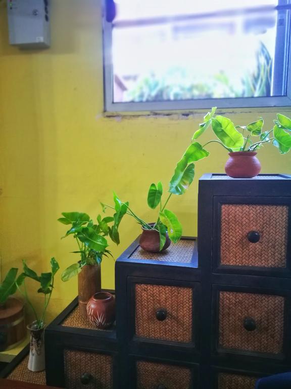 香草园酒店 清邁 外观 照片